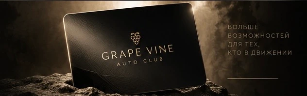 Визуализация бонусной карты Grape Vine